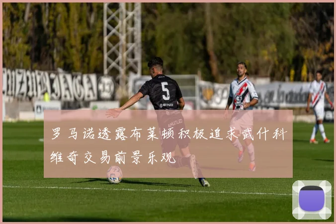 罗马诺透露布莱顿积极追求武什科维奇交易前景乐观